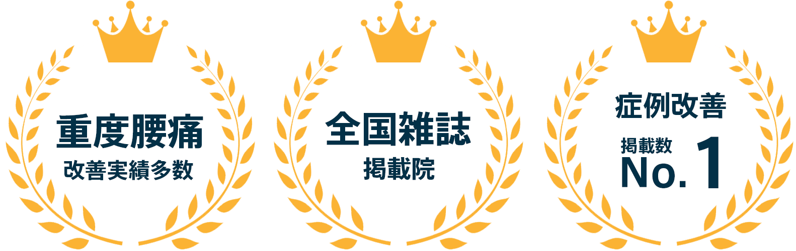 整体院蔵武の実績